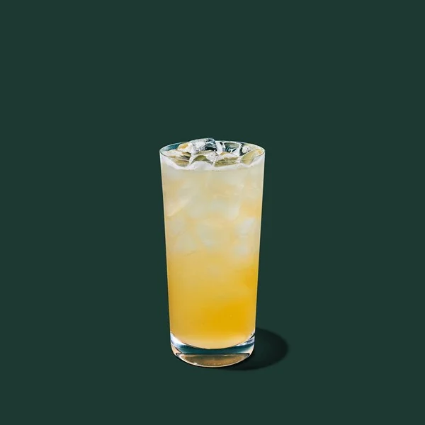Iced Green Tea Lemonade — 50 cal Iced Green Tea Lemonade — nutrition facts